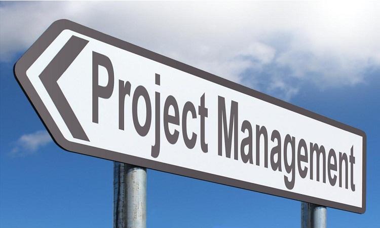 8 Best Project Management Software for Freelancers (Updated for 2024)